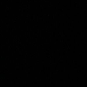 Meet your Posher, Lily